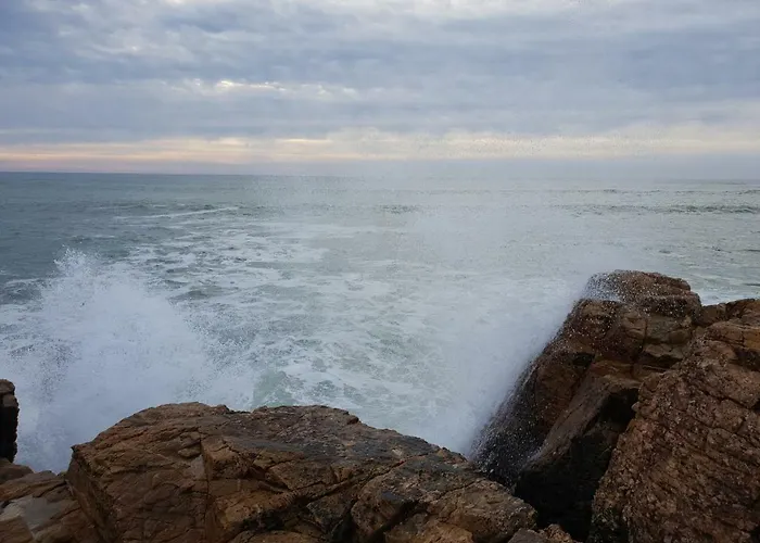 Vue Sur Golf Apartment *