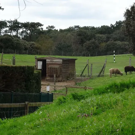 Vue Sur Golf Apartment