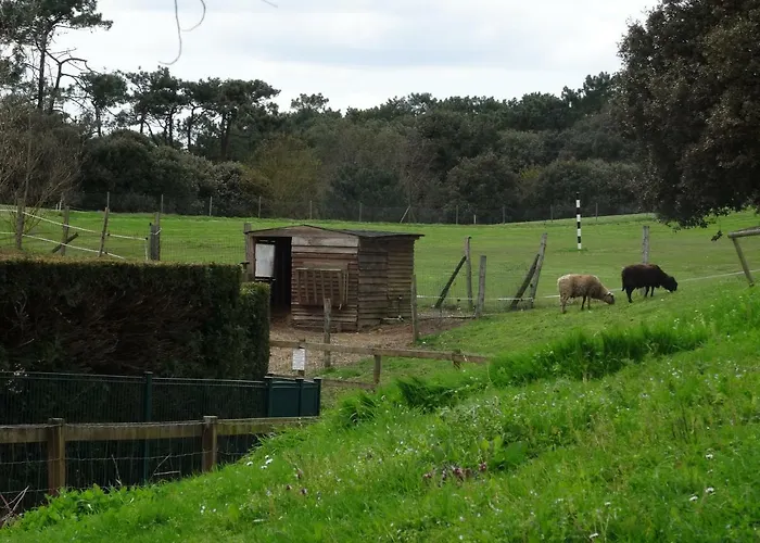 Vue Sur Golf דירה